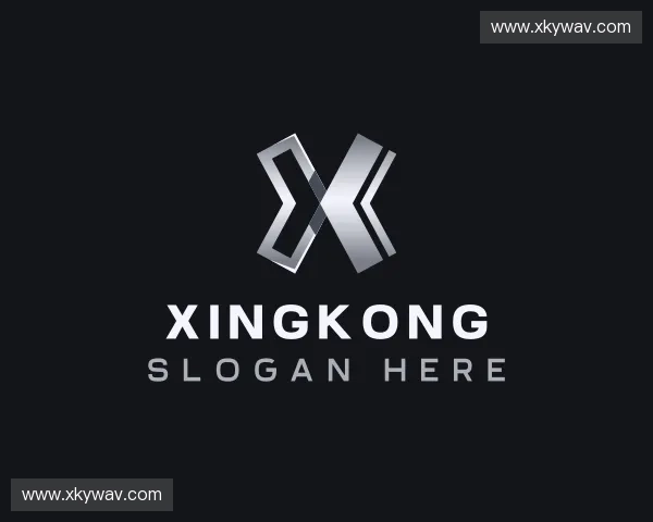纵览xingkong官方入口